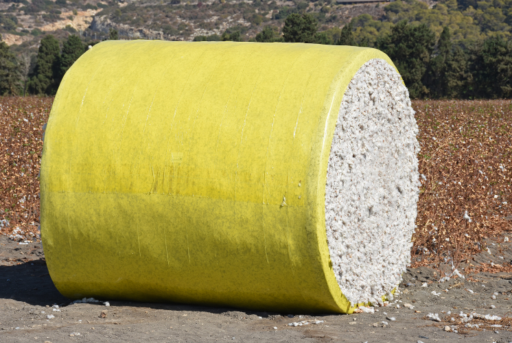 Cotton Bales